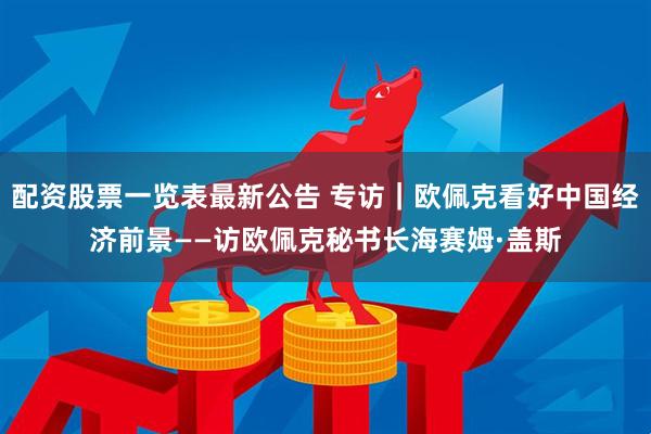 配资股票一览表最新公告 专访｜欧佩克看好中国经济前景——访欧佩克秘书长海赛姆·盖斯